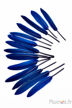 Oie Lame - 10-15 cm - bleu nuit